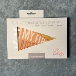 NIP Baby milestone photo opp pennants